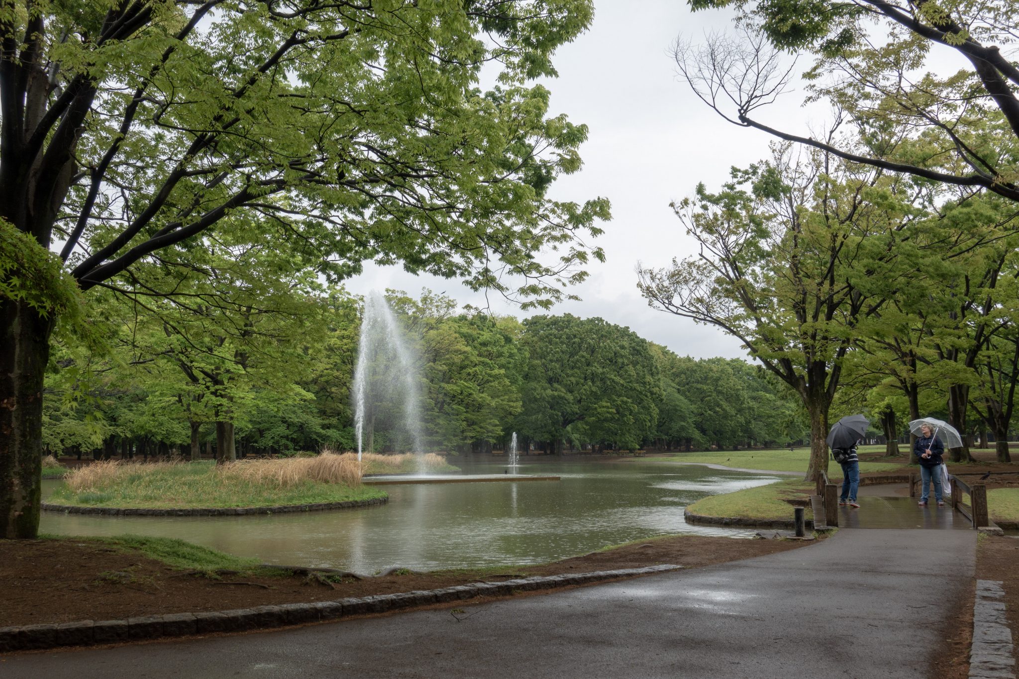 Yoyogi Park and Yokohama | travelimages.com.au