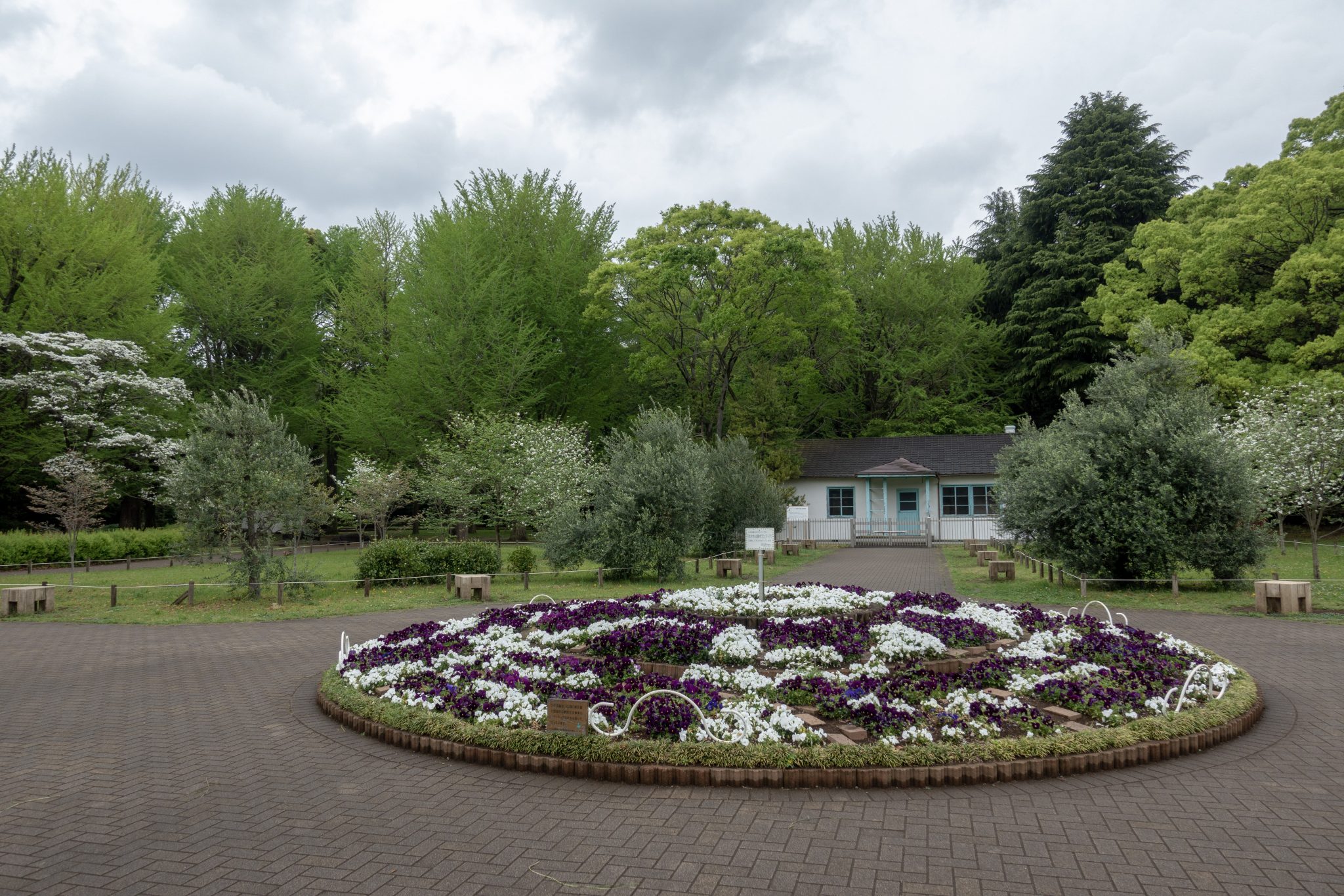 Yoyogi Park and Yokohama | travelimages.com.au